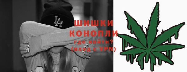 кокс Белокуриха