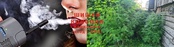 кокс Белокуриха