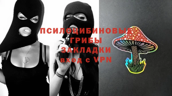 кокс Белокуриха