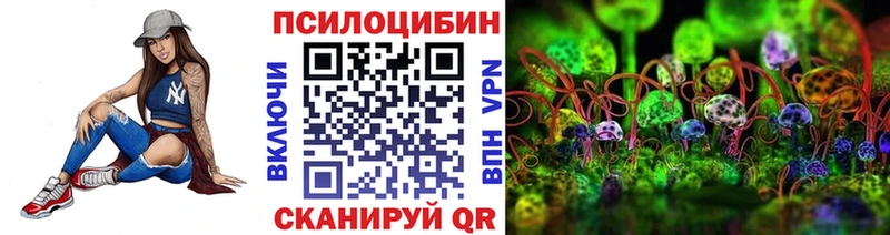 Галлюциногенные грибы Psilocybine cubensis  как найти закладки  Славгород 