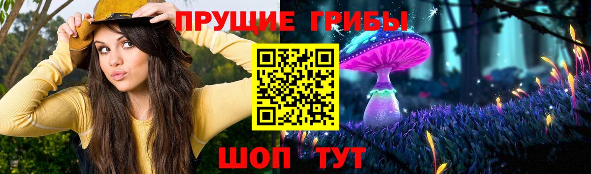 Славгород  Галлюциногенные грибы GOLDEN TEACHER  цены наркотик  Вход с VPN 