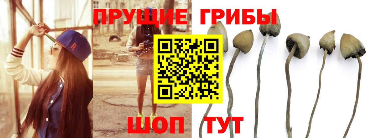 Галлюциногенные грибы MAGIC MUSHROOMS Славгород